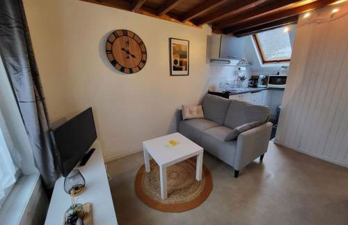 Charmant appartement au cœur du quartier St-Pierre - Foto 6