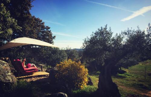 Casa Rural Finca Flores Amarillas - Foto 24