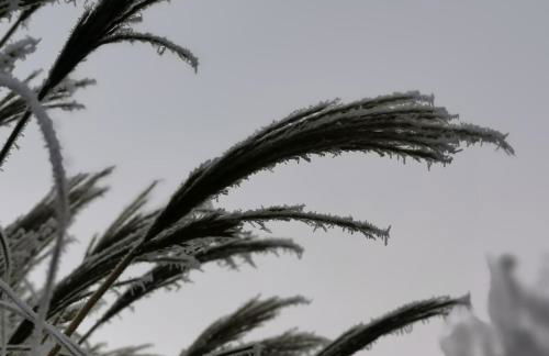 Deisterquartier, Ferienwohnung am Naherholungsgebiet - Foto 16