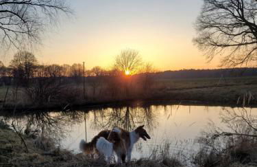 Märchenhaft urlauben auf dem Alpakahof - Foto 16