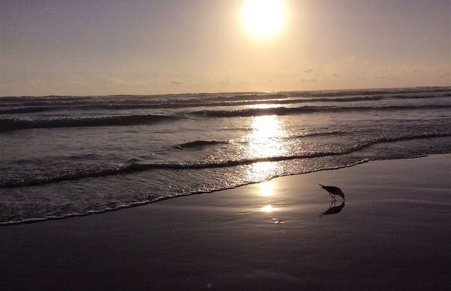 Riverside Holidays by ReadySet - Photo 13