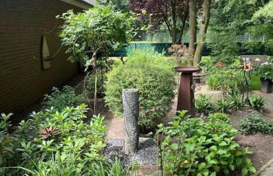 Hirschblick - Foto 19