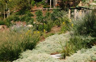 La Ghiandaia Farmhouse - Photo 34