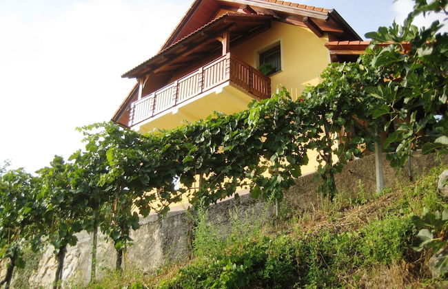 Vineyard cottage Ucman - Foto 10