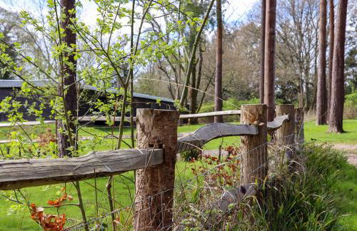 Ghyll Park Farm - Foto 42