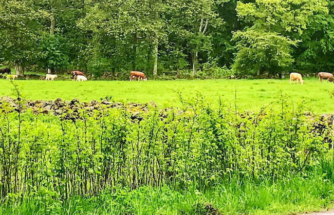 5 Person Holiday Home in Linderod-by Traum - Foto 39