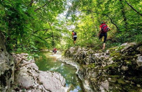 Stunning new apartment in centre of Buzet - Foto 21