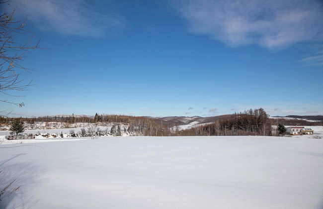 STARRY SKY COTTAGE 15 - Photo 49