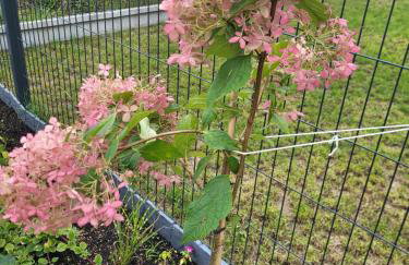 Apartament Nina - Foto 29