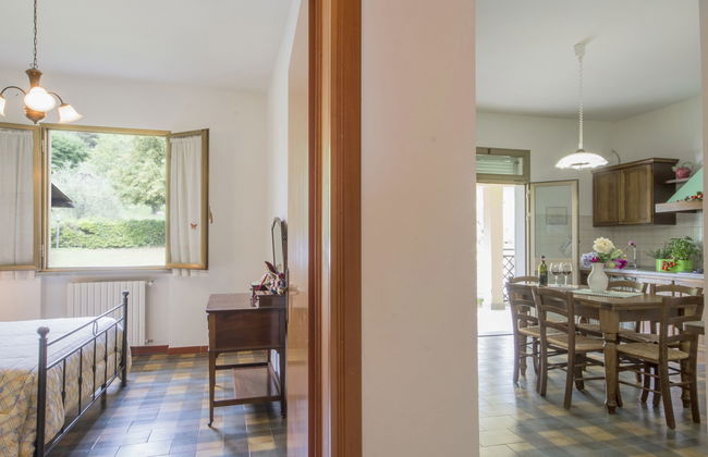 La Salamandra - Foto 17