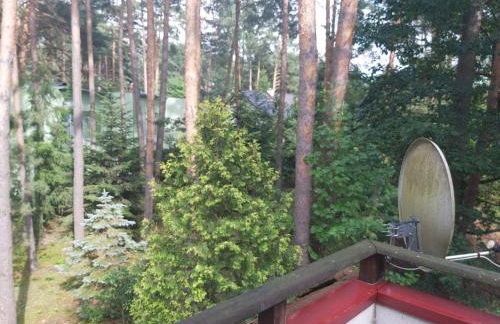 Tuczno Dom w lesie - Foto 22