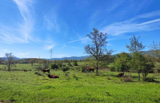 Holiday Home Near Plitvice Lakes - Foto 35