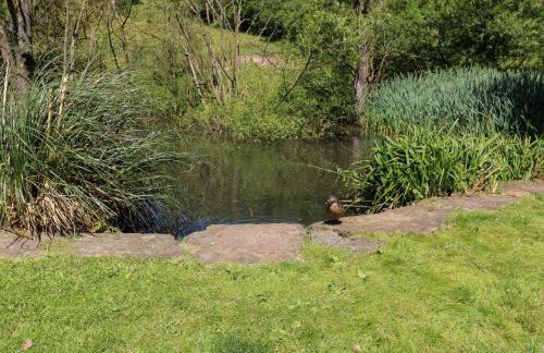 Belvedere Farm - Foto 72