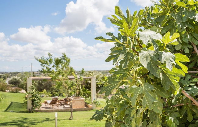 Azienda Agricola Spirdo - Foto 38