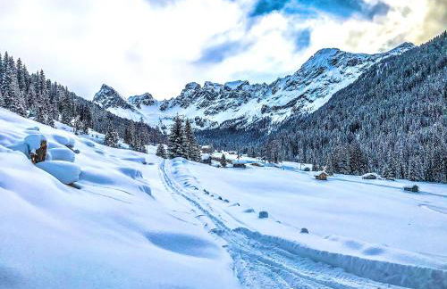 Cesa Bernard - Apartment Cima 12 e new Apartment Fraine - Foto 41