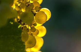 Luxus Apartments Mosel-Zeit NEU 2023 - Foto 32