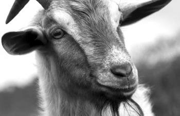 Apartamento La Barca "Rooftop BBQ Chill-out with Top View" - Foto 8