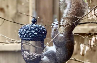 Acorn Lodge Pentewan - Foto 35