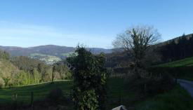 Isabel Artemis ES - Foto 5