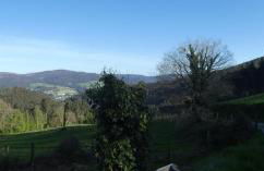 Isabel Artemis ES - Foto 5