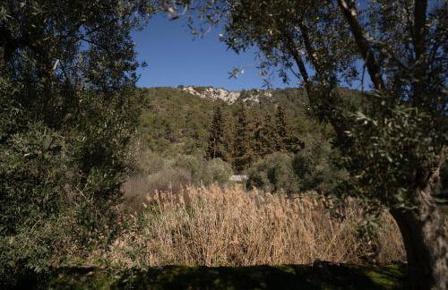 Tzànnou farm residence - Foto 63