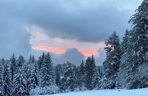 Schwarzwald Wohnung Kniebis - Foto 23