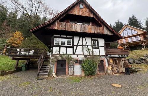 Schwarzwaldhütte am Bach mit Sauna - Foto 48