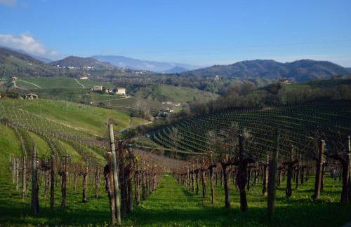 Tami Holidays - Photo 43