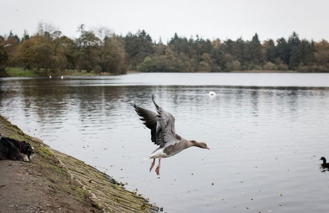 Bay Tree Cottage - Foto 47