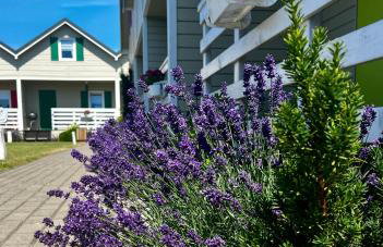 Kolorowe Domki - Foto 20