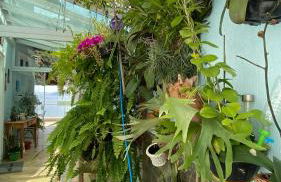 Casa Vista Panorâmica Itaipu - Foto 28