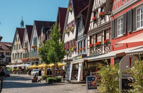 Cheerful Apartment near Historic City Center of Haslach - Foto 56