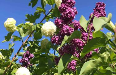 Lovely quiet cottage Sleeps 4 adults, 4 children, Dog Friendly - Foto 60