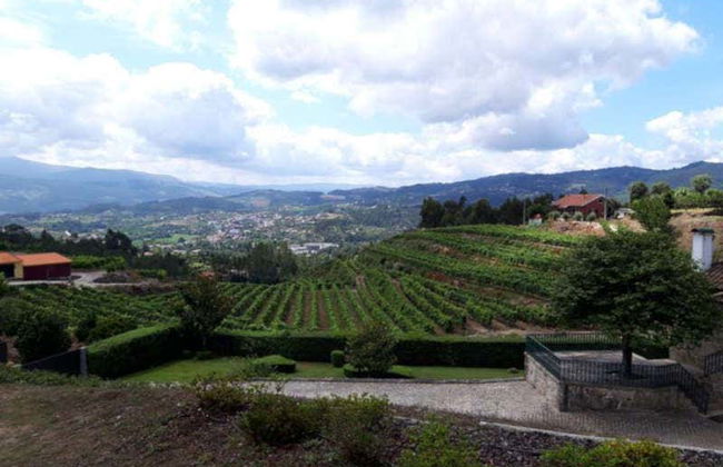 Dégustation de vin à la Quinta de Santa Cristina - Photo 7
