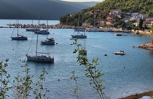 Villa Dorina - Foto 52