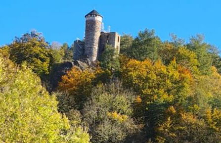 Gasthaus Rennsteig - Foto 22