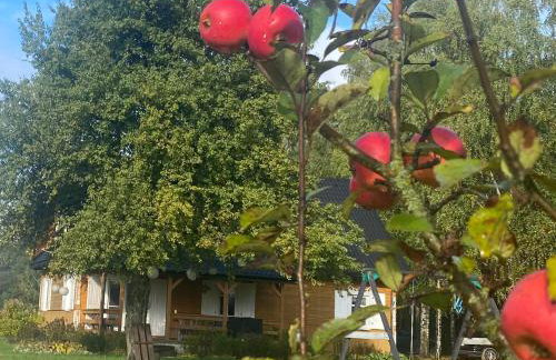 Wakacyjny Dom w Sakach - Foto 9