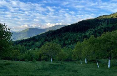 Παραδοσιακή πέτρινη κατοικία στην Βλάχα Ελάτης - Foto 9