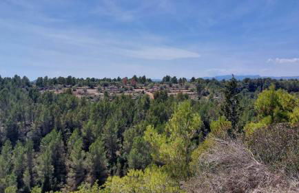 Buena Vista - Foto 34