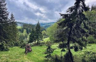 Atelier-Loft im Hübschental - Foto 31