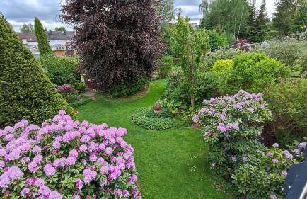 Landhaus Anneliese - Photo 20