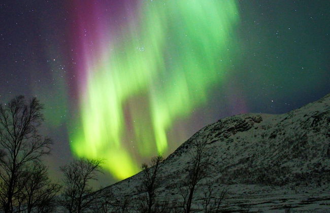 5 Person Holiday Home in Straumsbukta-by Traum - Foto 35