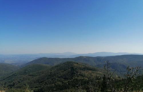 Apartamenty Marii Kawik - Foto 38