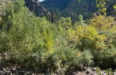 Creekside Craftsman Cabin with Jacuzzi - Alpine Splendor 6 Mins to downtown - Photo 12