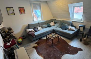 Große wohnung Stuttgart Zentrum - Foto 1