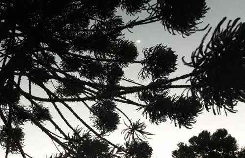 Encanto da Pedra - Photo 64