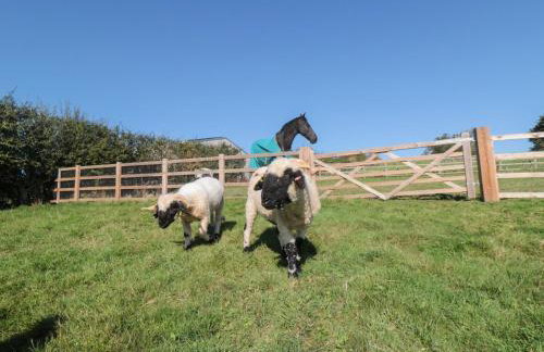 Stags Mount - Foto 32