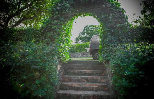 Renee House - Foto 13