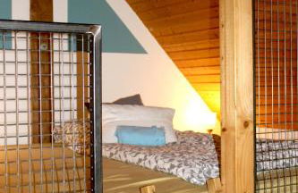 Sonnige Fachwerkwohnung - Foto 16