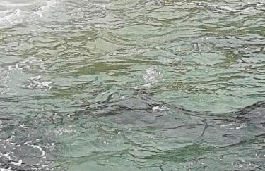 Apartamento com cobertura em Porto Real Suítes - Foto 49